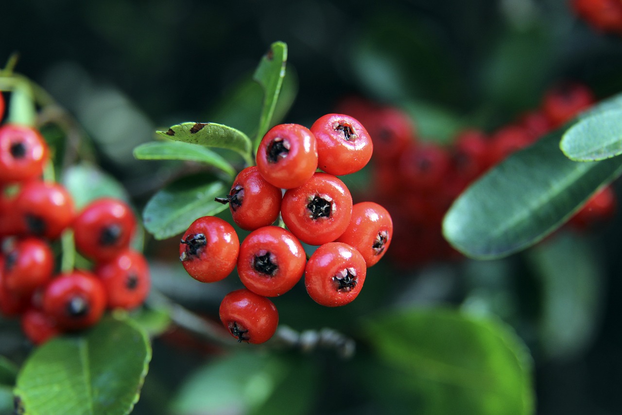 响比赛的节 响比赛的节