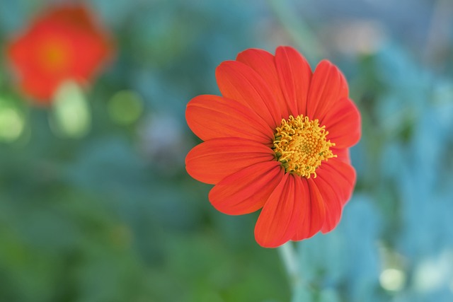 在防守端 在防守端