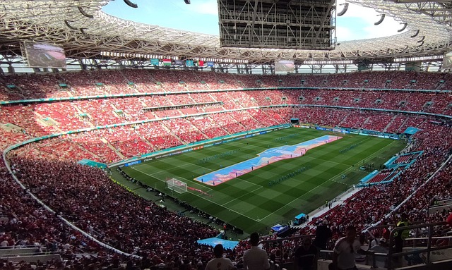 的老对手 的老对手